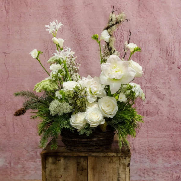 A winter floral arrangement featuring white amaryllis, roses, nerines, queen anne’s lace, and pinecones in a woven basket, evoking serene snowy landscapes.