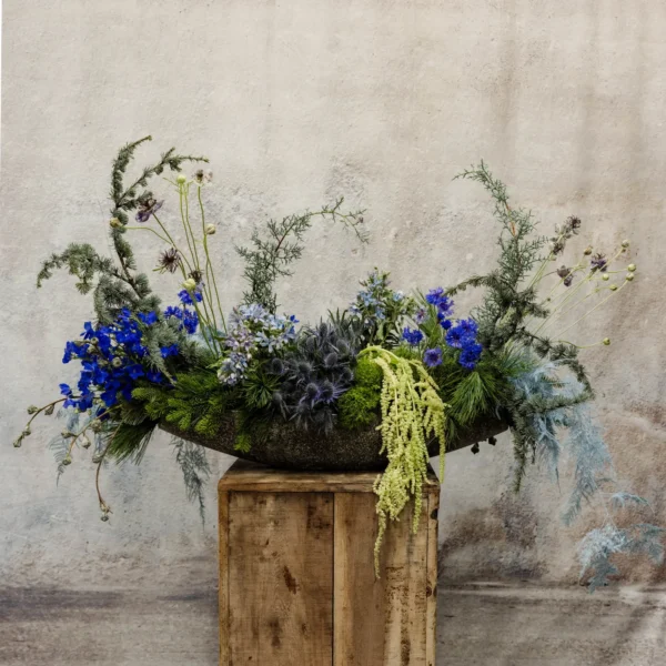 A long and low centerpiece with frosted evergreens, cobalt blue delphiniums, thistles, and cascading amaranthus, perfect for Hanukkah décor.