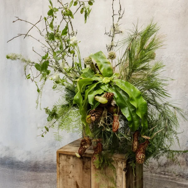 A woodland-inspired arrangement with green foliage, ferns, branches, and pitcher plants, perfect for seasonal or holiday décor.