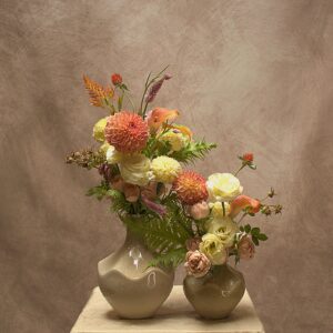 Apricot Horizon - Image 3