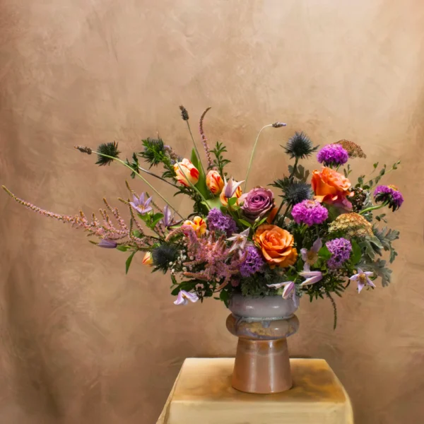 Pétales de Provence