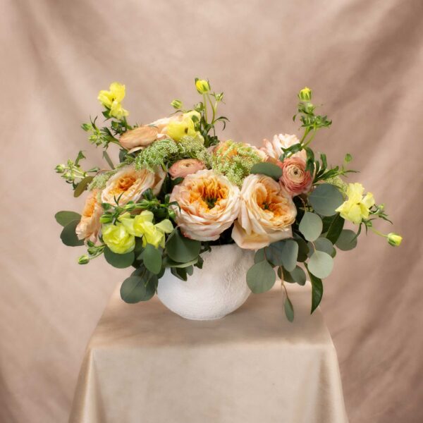 Apricot Blush