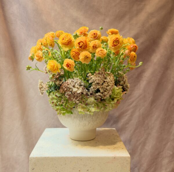 Tournesol